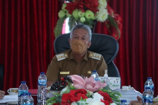 Bupati Minahasa Selatan Franky Donny Wongkar, SH