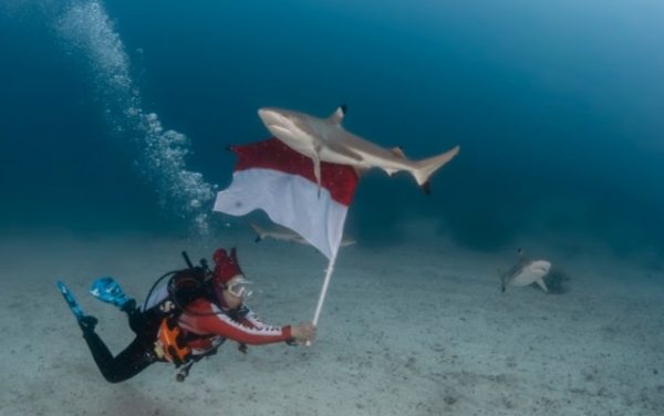 Wanita Selam Indonesia (WASI)