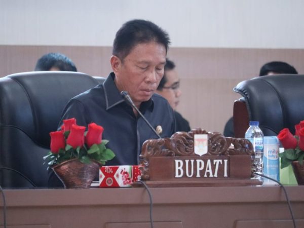 Bupati Minahasa Selatan Franky Donny Wongkar